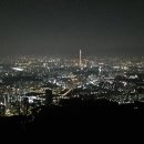 고향집손칼국수 이미지