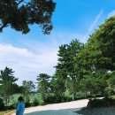 비로소433 이미지