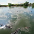 화석농장 이미지