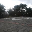 다대로주유소 이미지