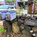 제주서쪽감성숙소 제주애물들다 이미지