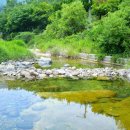 순천민박만추 이미지