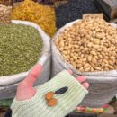 인터코리아(문화점) | [공지] 여자 혼자 키르기스스탄 여행 11월 (4박 6일)