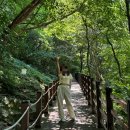 용현 관광안내소 | 서산가볼만한곳 : 용현집, 용현계곡, 마애여래삼존상 방문후기!
