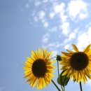 함줄공원 이미지