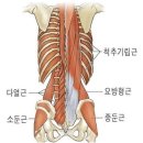 원암 | 중산동 헬스장 원암 덤벨로우 자세와 효과 파헤치기
