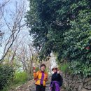 외연도2 이미지