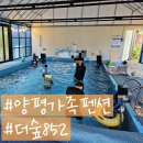 852 | 양평 복층 독채 펜션 수영장 있는 가족 숙소 계곡 가까운 더숲852 내돈내산 후기