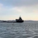 장고도8 이미지