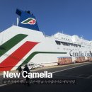 일본 후쿠오카 배편 뉴카멜리아호 예약 방법 및 배 타고 일본 여행 장단점 비교