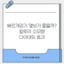 빠르게걷기 - 마포구 마포대로 86 | 빠르게걷기