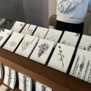 오퍼시티(OPACITY) 이미지