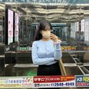 정원손세차 이미지