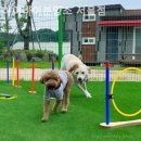 하이바이 분양소 이미지