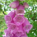 그대 안에그대 이미지