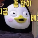 빨대수산 이미지