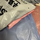 오늘도 너에개(Today forudog) | <2026> 내가 하니 쎈빠이랑 동갑이라고? (01/01~01/10)