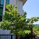 벧엘요양병원 이미지