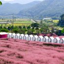 (유)동광담양고속 | 24/9/27~29 외할아버지랑 함께한 고창,영광,함평,담양 여행기[60PICS]