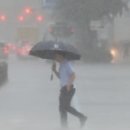 철이세탁소 이미지