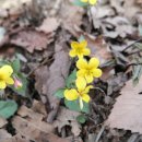 깃대봉 쉼터 이미지