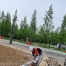 조촌초등학교 이미지