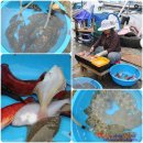 하얀배 민박 이미지