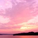 바다 이야기 이미지