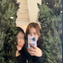 비엘디(BLD) | 귀여운 강아지가 있는 애견동반가능 부평 브런치카페 비엘디카페바 , BLD카페바 후기!