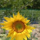 중앙로역 3번출구 이미지