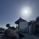 댕댕빌리지 | 태안 [탼 한옥비치빌리지] 애견동반 독채 댕댕룸 후기