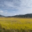 태원골프연습장 이미지