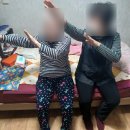 하모니청과 이미지