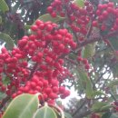 진고개농장 이미지