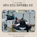 과천시보건소 | 과천시 보건소 36개월 이상 유아 무료불소도포 예약 및 후기