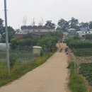 성진민박 이미지