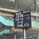 영지민박 | 여자라서 봐줬다.