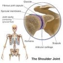 가좌정형외과의원 이미지