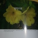 상임농원 이미지