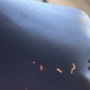 천애 | 청라 피부관리 여드름 압출 잘하는곳 눈부심에스테틱 비립종 제거 후기