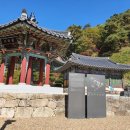 선달산캠핑장