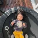 태권도연구방법 | 키 작은 아이, 엄마의 선택! 트램폴린 성장운동 + 성인트램폴린 다이어트 멜킨 트램폴린 후기