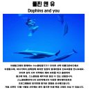 트립앤유 이미지