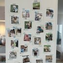 그루댕댕 이미지