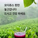 📹[해외감동사연] 한국이 숨겨온 우주기술! 누리호 재진입 성공에 미국 핵전략가들 '판단 오류' 인정한 이유 | 미국 초비상! 이미지