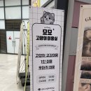 묘묘 고양이 미용실 이미지