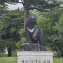 설악산(토왕성폭포, 울산바위, 케이블카) 이미지