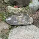 전남광주 보성 한옥 카페 '춘운서옥' / 글과 그림이 있는, 초봄의 구름 같은 집