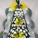 갑천도시고속도로 이미지