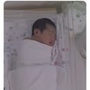 더 아이리스 산후조리원 이미지